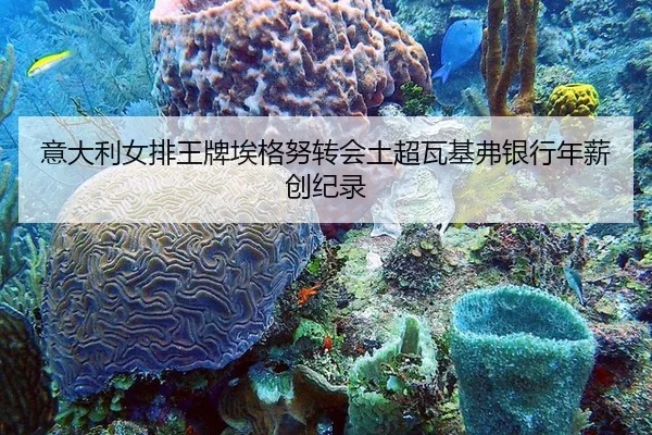 yi-da-li-nv-pai-wang-pai-ai-ge-nu-zhuan-hui-tu-chao-wa-ji-fu-yin-hang-nian-xin-chuang-ji-lu-2-751.jpg